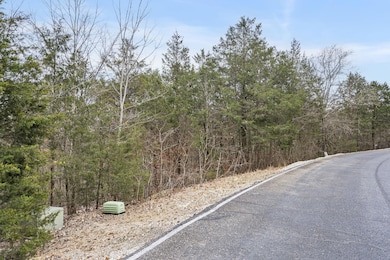 Lot 9 Ledges Way (4)