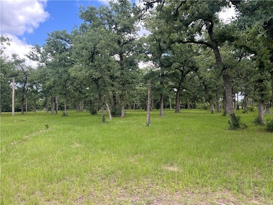 Lot 570 Deer Ledge Dr, Beaver Creek, TX 77836 - photo 5