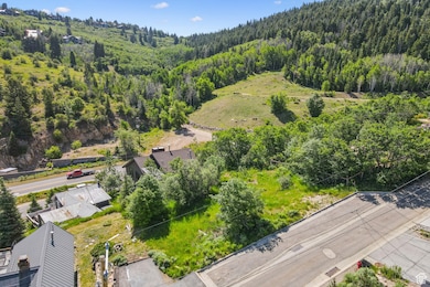 Aerial view of a heavily wooded area