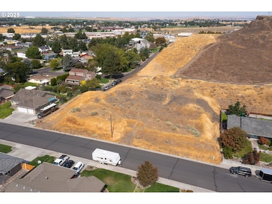 854 W Hartley Ave, Hermiston, OR 97838 - photo 4