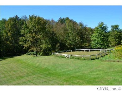 Yard/Garden