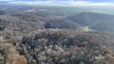 34673 Broderick Hollow Rd, Salisbury Township, OH 45769 - photo 7