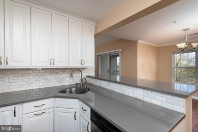9101 Gracious End Ct unit 303, Columbia, MD 21046 - photo 7