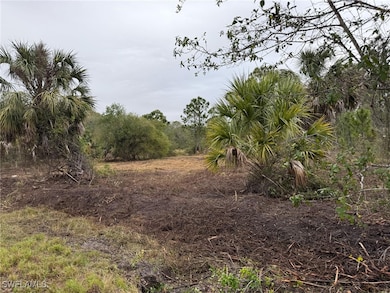 View of local wilderness