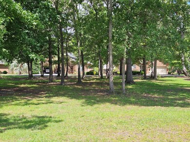 VIEW IN THE MIDDLE OF THE LOT