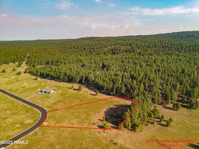 9199 Ranch at the Peaks Way, Flagstaff, AZ 86001 - photo 7