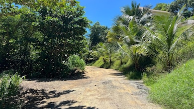 Km 5.9 Carr 413, Rincon, PR 00677 - photo 3