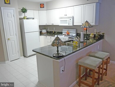 12105 Tullamore Ct unit 201, Lutherville Timonium, MD 21093 - photo 4