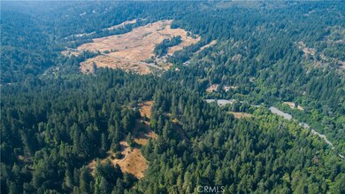 34621 Alderpoint Rd, Blocksburg, CA 95514 - photo 4