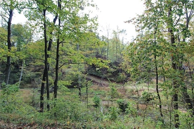 0 Cow Run Rd unit 5173911, Marietta, OH 45750 - photo 4