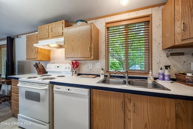 Kitchen Windo