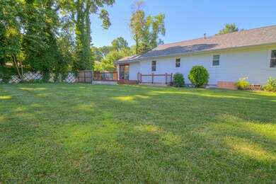 backyard 2