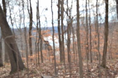 34.15ac Frogue Rd, Burkesville, KY 42717 - photo 3