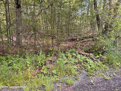 2159 Birchwood Blvd, Pocono Summit, PA 18346 - photo 5