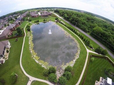 pond