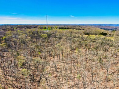 Tbd State Highway Y, Galena, MO 65656 - photo 7