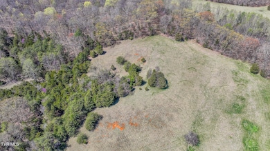 DJI_20250401141518_0272_D-HDR