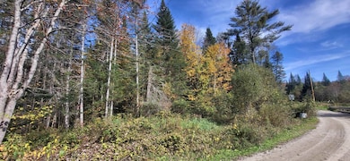 0 Thomas Rd unit 32.1 5052957, Lunenburg, VT 05906 - photo 6