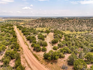 TBD Lot 8 Newlin Ridge Rd unit 8, Florence, CO 81226 - photo 4