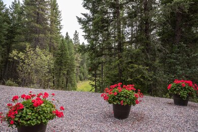 Nicely Wooded 1.08 Acres
