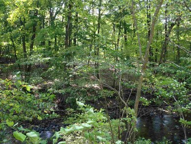 0 Schodack Valley Rd unit 201420024, Schodack, NY 12033 - photo 3