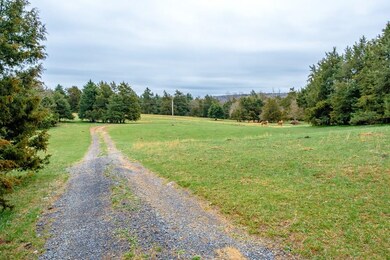 0 Old Factory Rd unit 616114, District 6, VA 22657 - photo 4