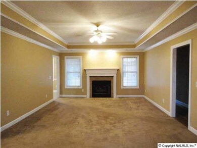 The Family Room has a gas log fireplace with mantle, trey ceiling with crown moulding, and carpet.