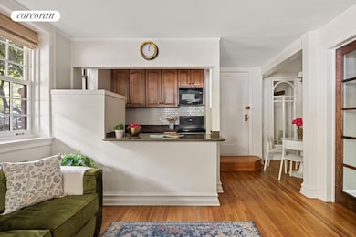 784 Carroll St unit 1, Brooklyn, NY 11215 - photo 3