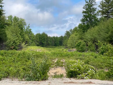 87 Natures Way, Standish, ME 04084 - photo 5