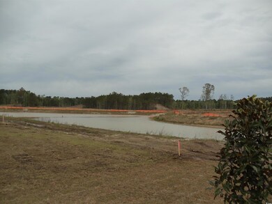 8718 Baton Rouge Ave NW unit 1173- St. Phillips, Calabash, NC 28420 - photo 6