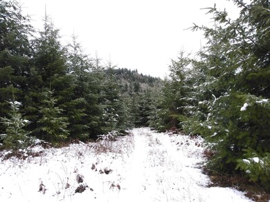 0 Gooseneck Creek Rd, Sheridan, OR 97378 - photo 6