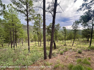 732 Center St, Ruidoso, NM 88345 - photo 6