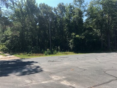 TBD Crenshaw Rd, Lumber Bridge, NC 28357 - photo 3