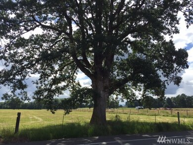 0 Jackson Hwy unit 1002684, Toledo, WA 98591 - photo 4