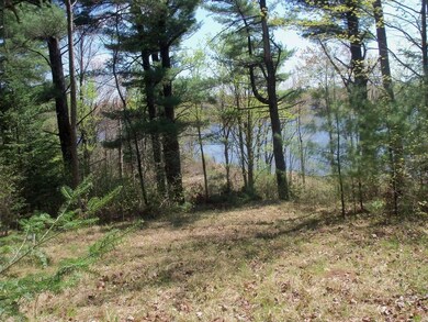 ON Eagle Waters Rd, Tomahawk, WI 54487 - photo 6