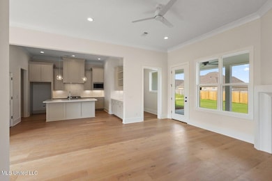 488 Aurora Cir, Canton, MS 39046 - photo 6