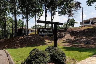 lt340341 Tunica Ln, Ellijay, GA 30540 - photo 5