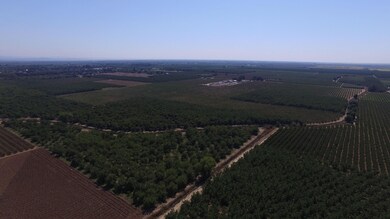 242 W Evans Reimer Rd, Gridley, CA 95948 - photo 6