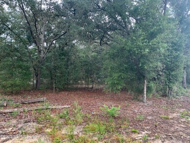 0250 Lenore Ave, Interlachen, FL 32148 - photo 4