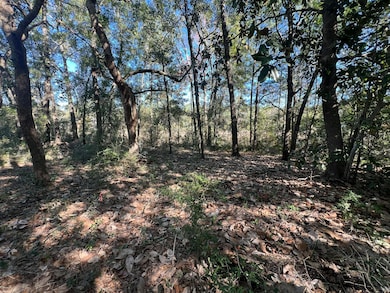 00 Kylea Laird Dr, Freeport, FL 32439 - photo 3