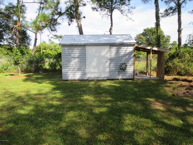 Shed in Backyard