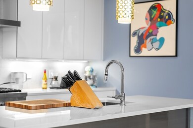 The Ceinture Condominiums unit 5E, Boston, MA 02127 - photo 5