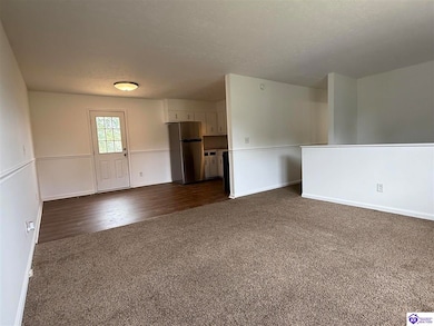 215 Davis St, Campbellsville, KY 42718 - photo 4