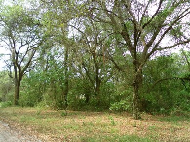 106 Mazie Dr, Zephyrhills, FL 33541 - photo 6