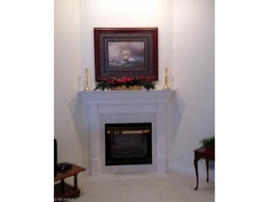 Gas Fireplace