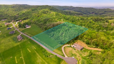 DJI_0927_copy_mls