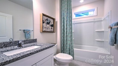 433 Fox Cove Rd, Hendersonville, NC 28792 - photo 7