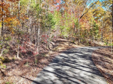 202 Deep Woods Dr, Dunlap, TN 37327 - photo 4