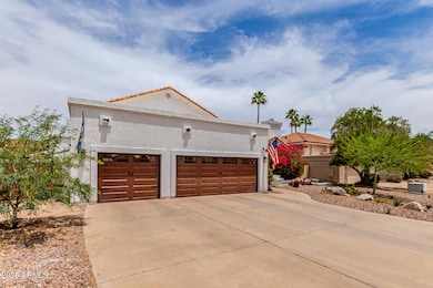 3 - Desert Willow