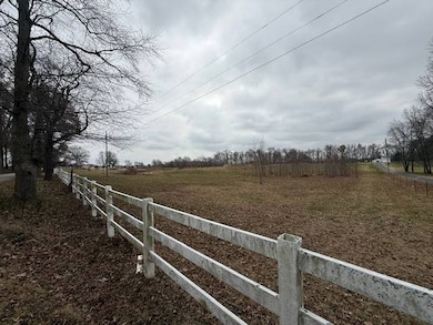 2052 Busby Denton Rd, Robards, KY 42452 - photo 4